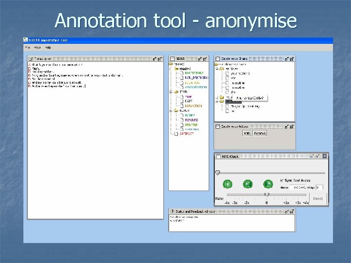 Annotation tool - anonymise 