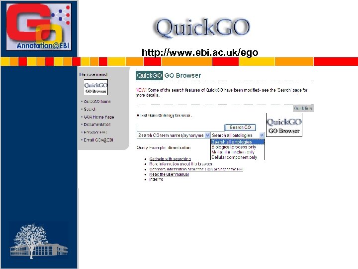 http: //www. ebi. ac. uk/ego 