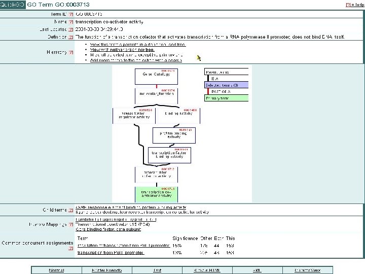 Quick. GO: browse GO & GO annotation 