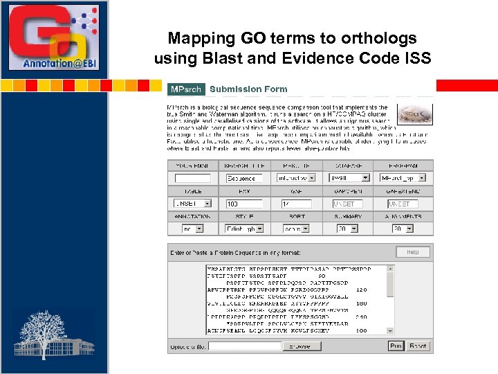 Mapping GO terms to orthologs using Blast and Evidence Code ISS 