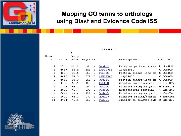 Mapping GO terms to orthologs using Blast and Evidence Code ISS 