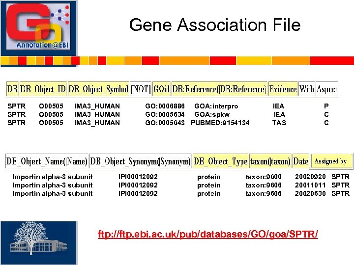 Gene Association File SPTR O 00505 IMA 3_HUMAN Importin alpha-3 subunit GO: 0006886 GOA: