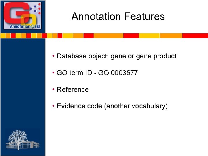 Annotation Features • Database object: gene or gene product • GO term ID -