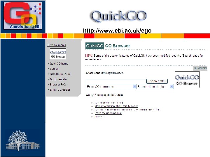 http: //www. ebi. ac. uk/ego 