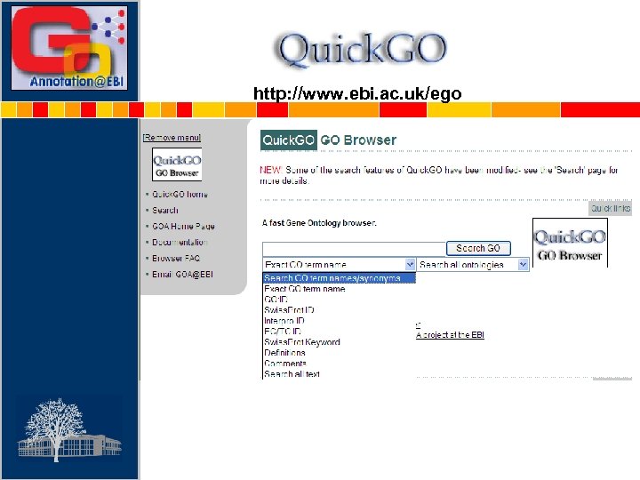 http: //www. ebi. ac. uk/ego 