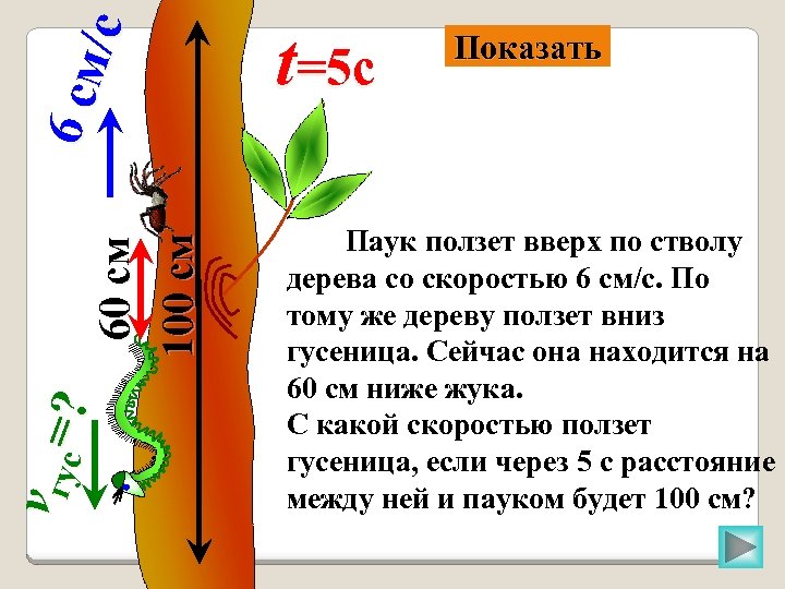 Движение сока в стволе дерева схема