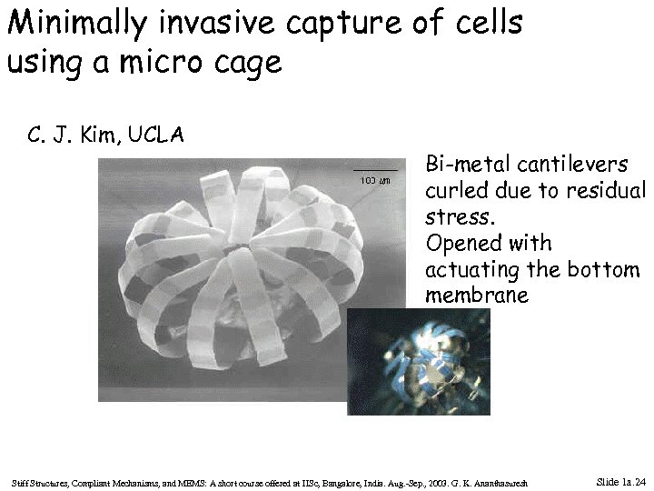 Minimally invasive capture of cells using a micro cage C. J. Kim, UCLA Bi-metal