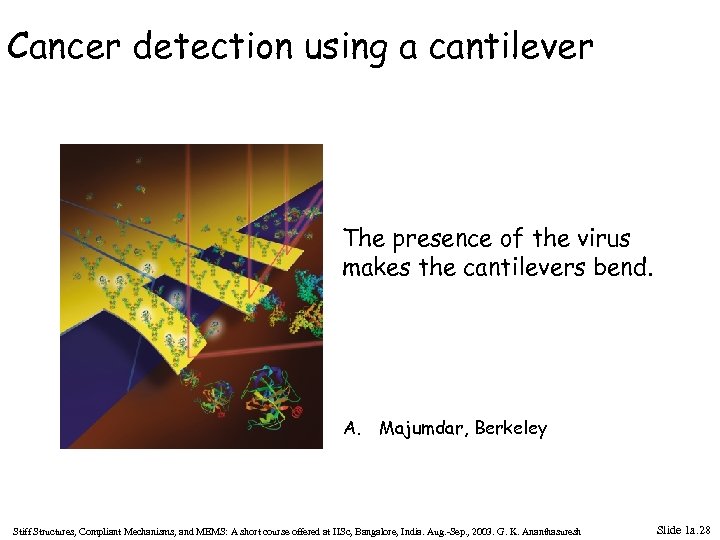 Cancer detection using a cantilever The presence of the virus makes the cantilevers bend.