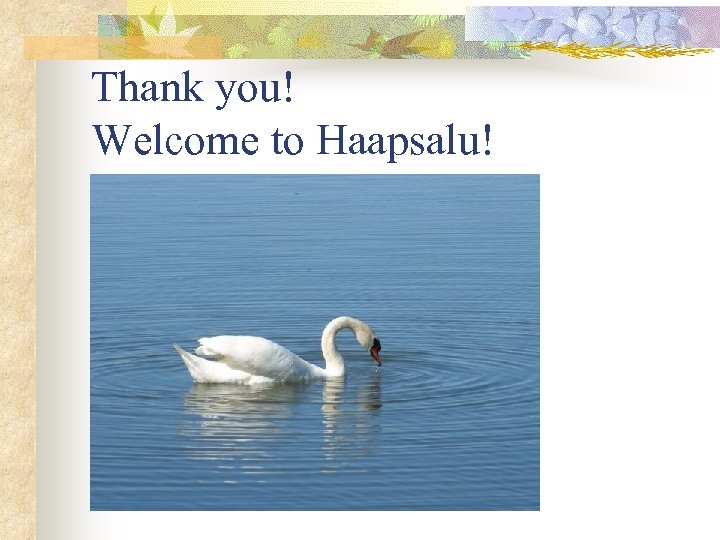 Thank you! Welcome to Haapsalu! 