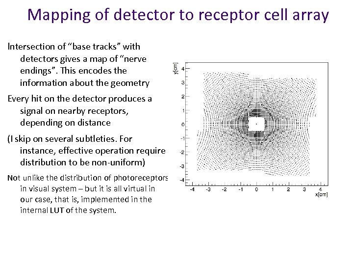 Mapping of detector to receptor cell array Intersection of “base tracks” with detectors gives