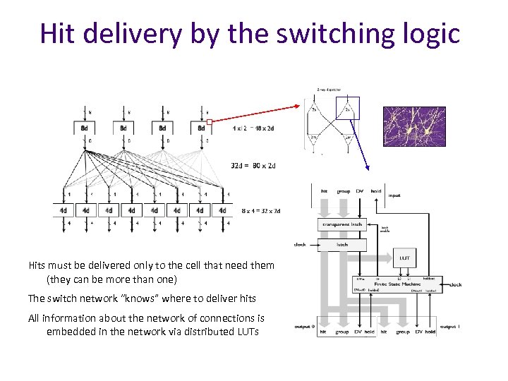 Hit delivery by the switching logic Hits must be delivered only to the cell