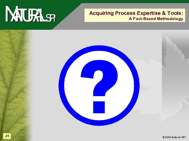 Acquiring Process Expertise & Tools: A Fact-Based Methodology 25 © 2003 Natural SPI 