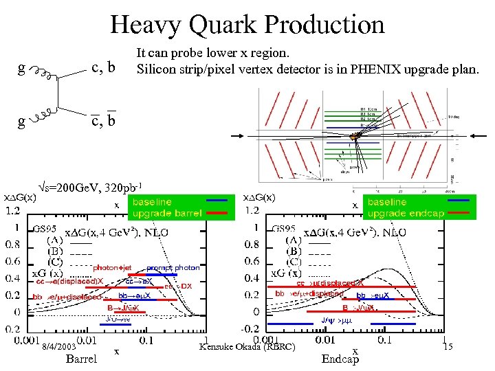 Heavy Quark Production g c, b g It can probe lower x region. Silicon