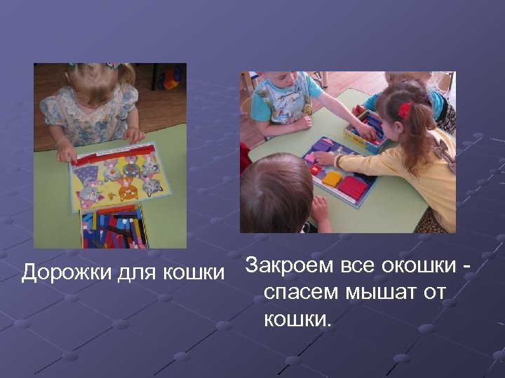 Дорожки для кошки Закроем все окошки - спасем мышат от кошки. 