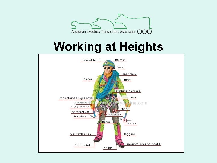 Working at Heights 