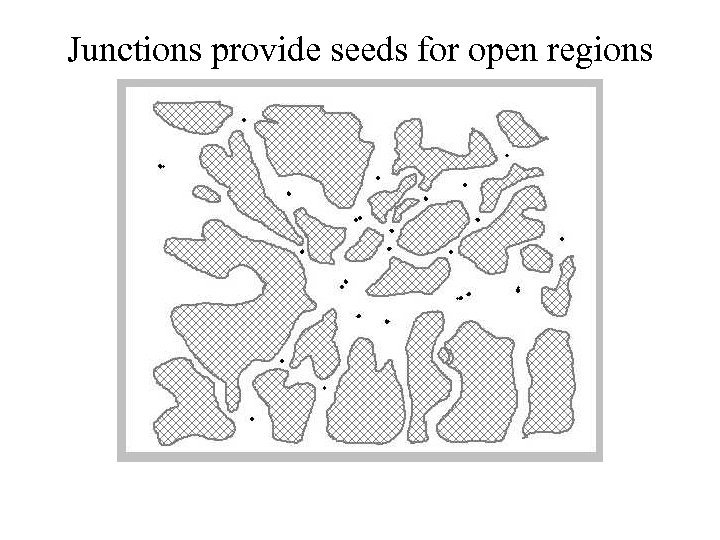 Junctions provide seeds for open regions 