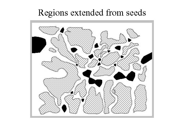 Regions extended from seeds 