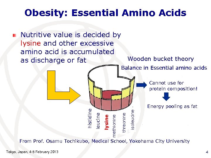 Obesity: Essential Amino Acids Nutritive value is decided by lysine and other excessive amino