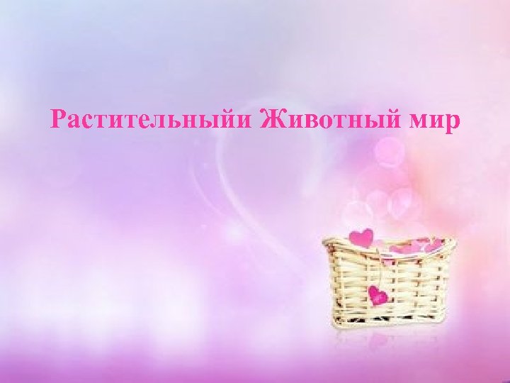 Растительныйи Животный мир 