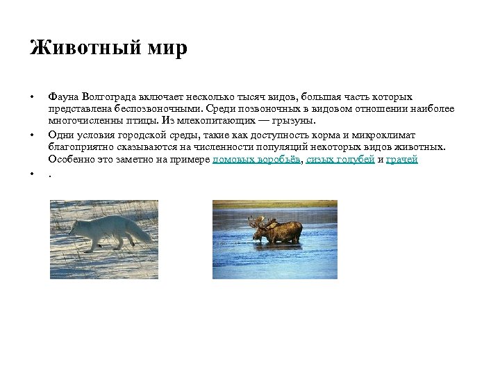 Животный мир • • • Фауна Волгограда включает несколько тысяч видов, большая часть которых