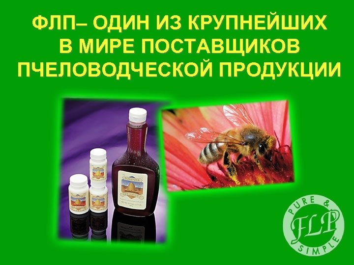ФЛП– ОДИН ИЗ КРУПНЕЙШИХ В МИРЕ ПОСТАВЩИКОВ ПЧЕЛОВОДЧЕСКОЙ ПРОДУКЦИИ 
