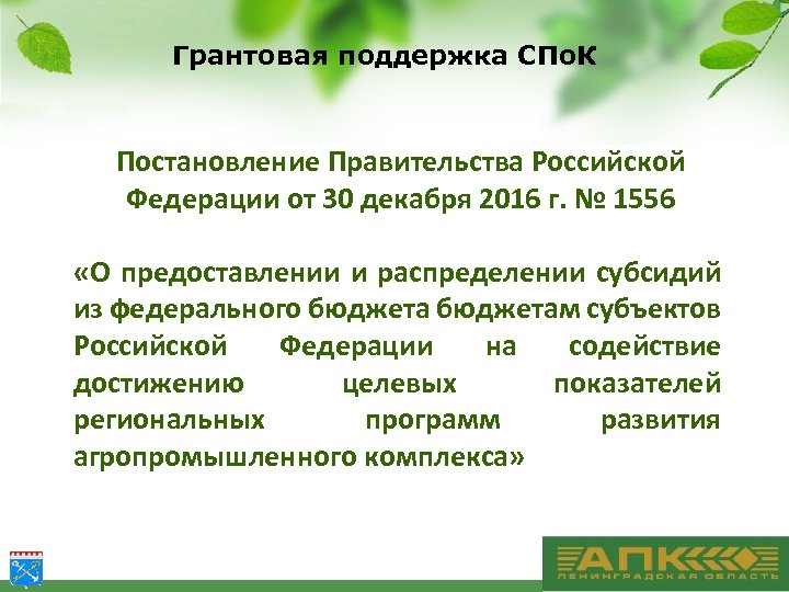 Грантовая поддержка СПо. К Постановление Правительства Российской Федерации от 30 декабря 2016 г. №
