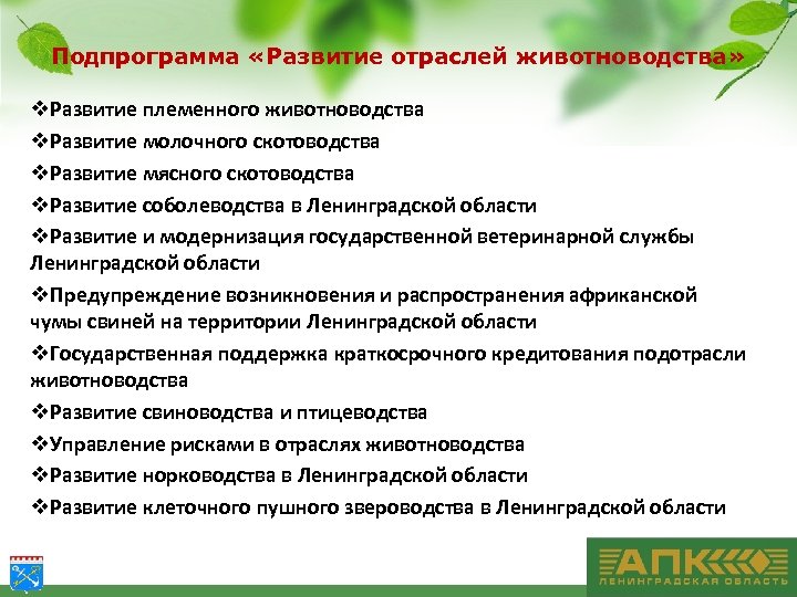 Подпрограмма «Развитие отраслей животноводства» v. Развитие племенного животноводства v. Развитие молочного скотоводства v. Развитие