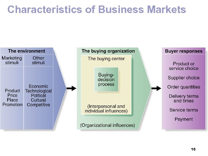 Characteristics of Business Markets 10 