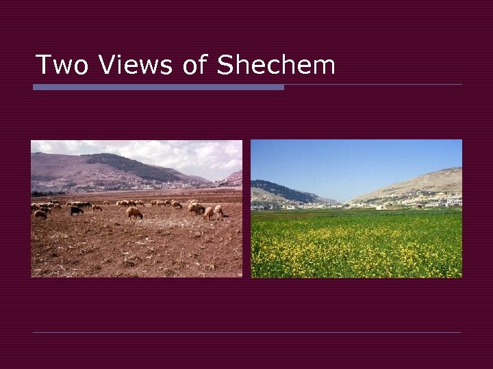 Two Views of Shechem 