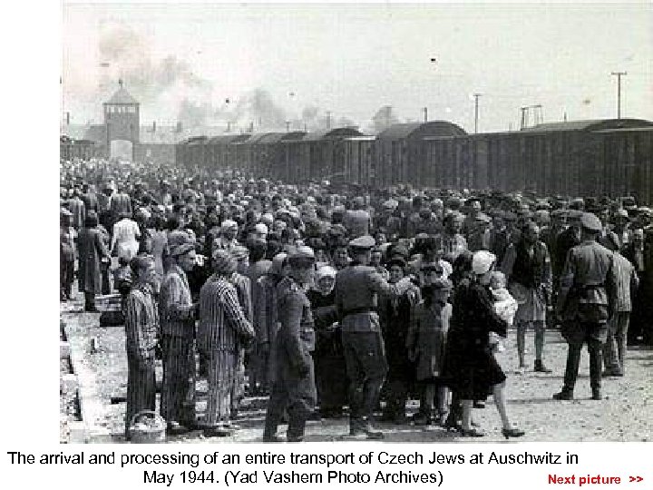 The arrival and processing of an entire transport of Czech Jews at Auschwitz in