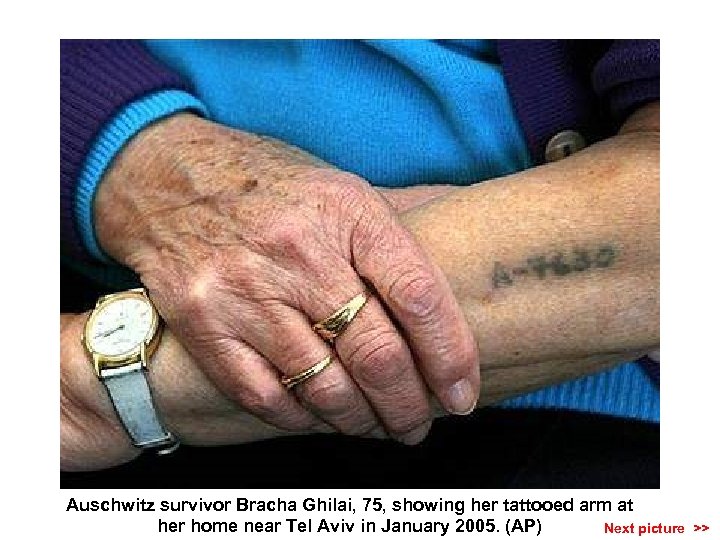 Auschwitz survivor Bracha Ghilai, 75, showing her tattooed arm at her home near Tel