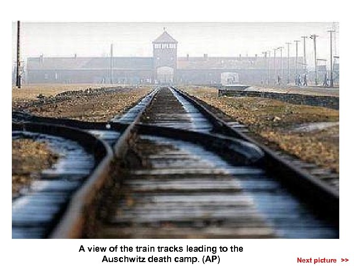 A view of the train tracks leading to the Auschwitz death camp. (AP) Next