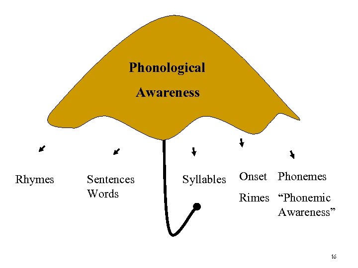 Phonological Awareness Rhymes Sentences Words Syllables Onset Phonemes Rimes “Phonemic Awareness” 16 