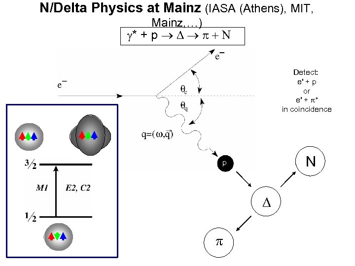 N/Delta Physics at Mainz (IASA (Athens), MIT, Mainz, …) * + p D +