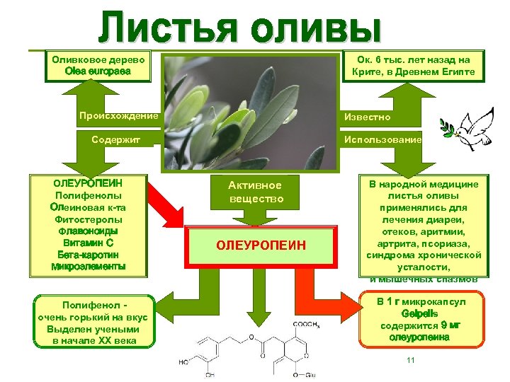 Применение листьев