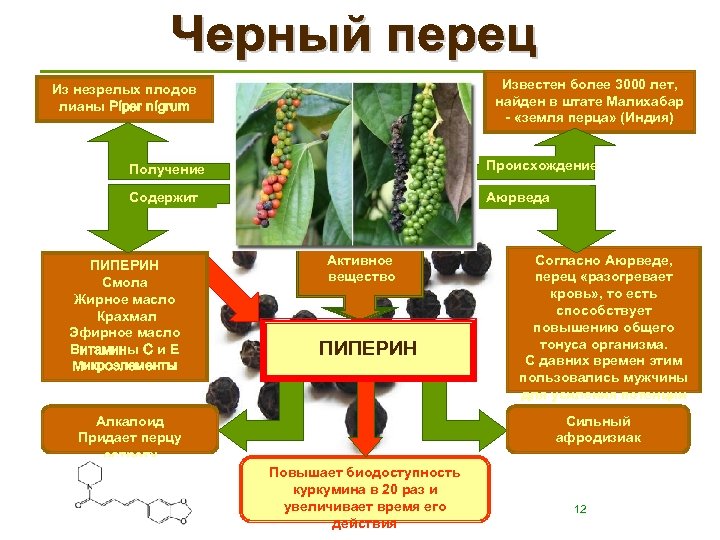 Известен более 3000 лет, найден в штате Малихабар - «земля перца» (Индия) Из незрелых