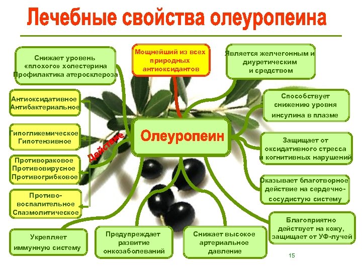 Снижает уровень «плохого» холестерина Профилактика атеросклероза Мощнейший из всех природных антиоксидантов Является желчегонным и