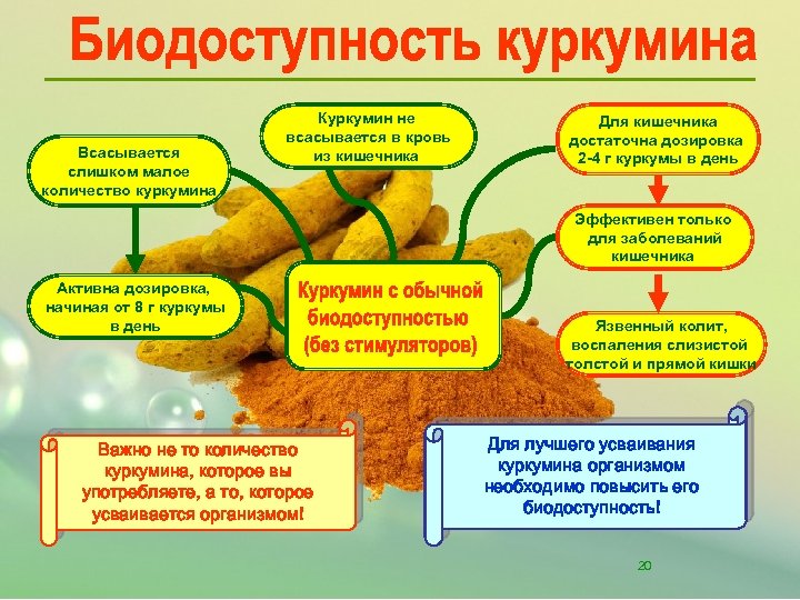 Всасывается слишком малое количество куркумина Куркумин не всасывается в кровь из кишечника Для кишечника