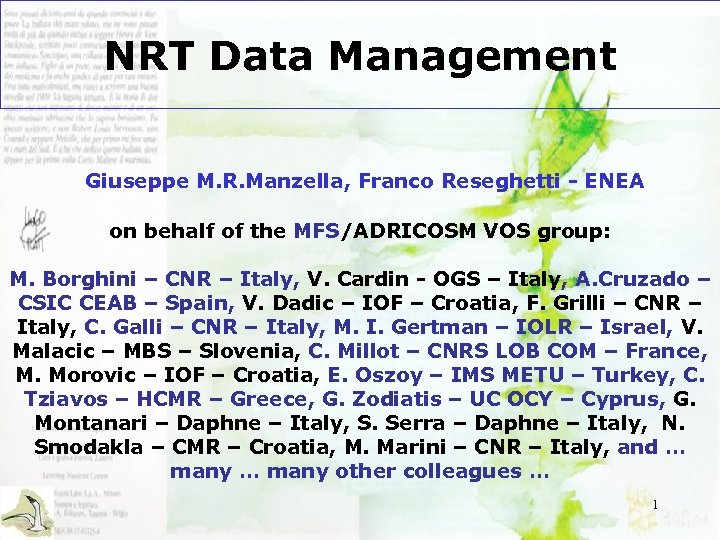 NRT Data Management Giuseppe M. R. Manzella, Franco Reseghetti - ENEA on behalf of