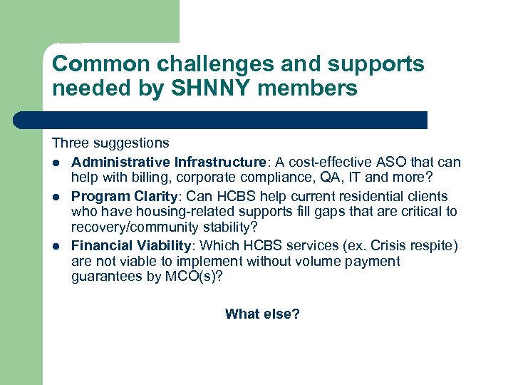 Common challenges and supports needed by SHNNY members Three suggestions l Administrative Infrastructure: A