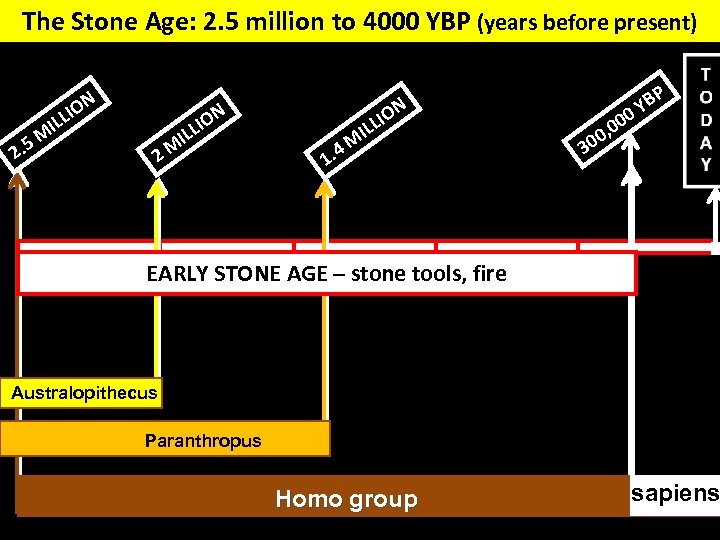 The Stone Age: 2. 5 million to 4000 YBP (years before present) N IO