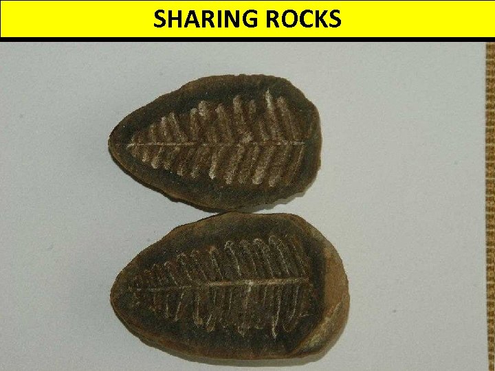 SHARING ROCKS 3 