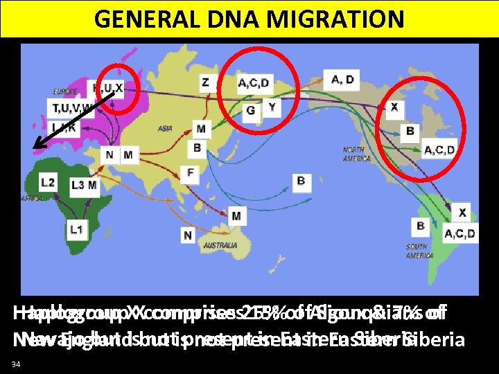 GENERAL DNA MIGRATION Haplogroup X comprises 15% of Sioux & 7% of Haplogroup X