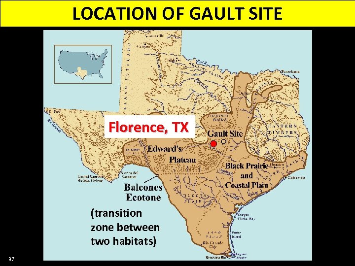 LOCATION OF GAULT SITE Florence, TX (transition zone between two habitats) 37 