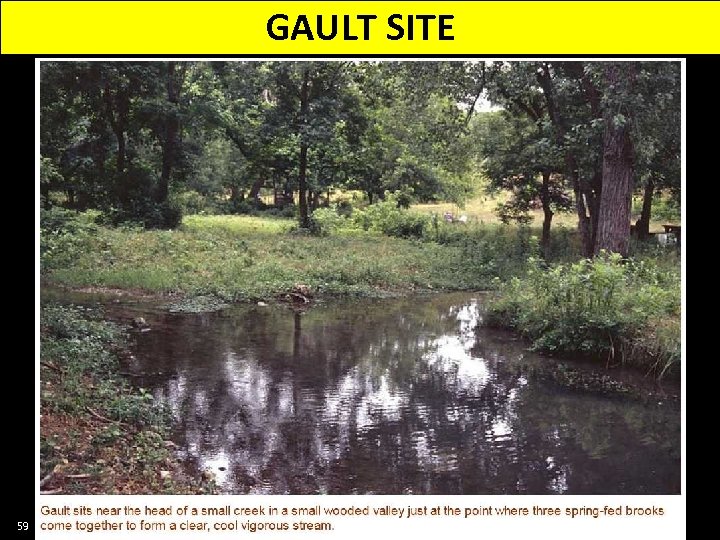 GAULT SITE 59 