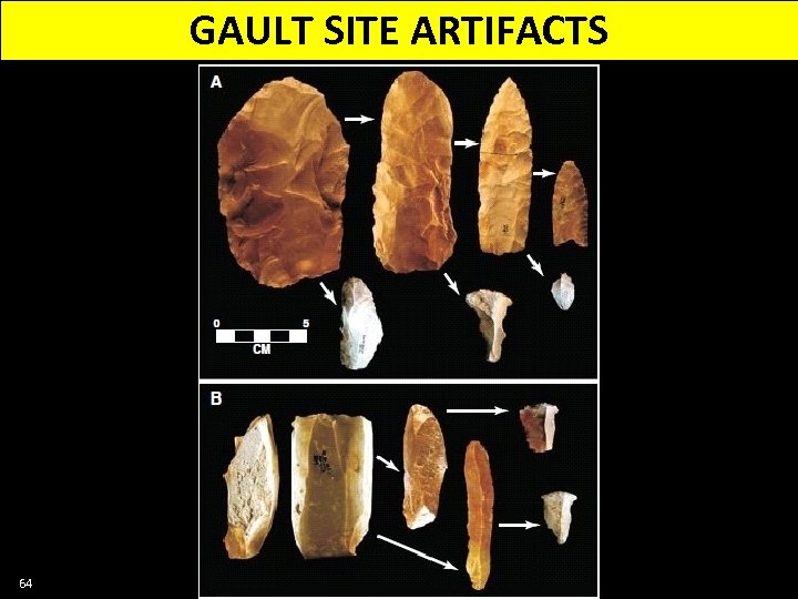 GAULT SITE ARTIFACTS 64 