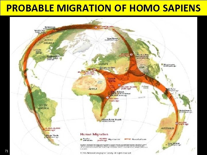 PROBABLE MIGRATION OF HOMO SAPIENS 71 