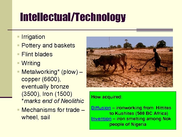 Intellectual/Technology § Irrigation § Pottery and baskets § Flint blades § Writing § Metalworking*
