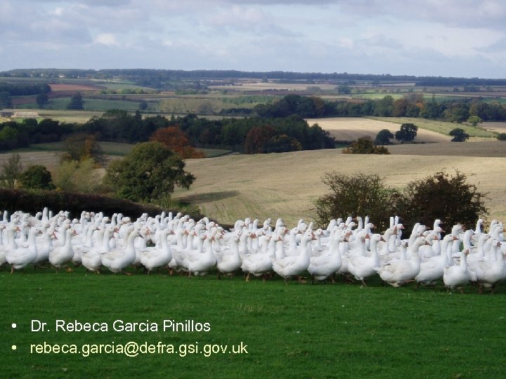 3 rd OIE conference on Animal Welfare – Implementing the OIE standards – addressing