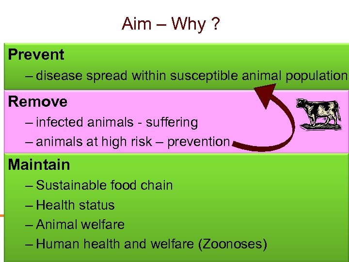 Aim – Why ? Prevent – disease spread within susceptible animal population Remove –